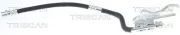 Bremsschlauch TRISCAN 8150 43234