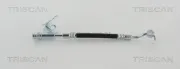 Bremsschlauch Hinterachse rechts außen TRISCAN 8150 43253
