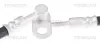 Bremsschlauch Vorderachse rechts TRISCAN 8150 50129 Bild Bremsschlauch Vorderachse rechts TRISCAN 8150 50129