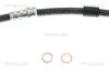 Bremsschlauch Vorderachse rechts TRISCAN 8150 50147 Bild Bremsschlauch Vorderachse rechts TRISCAN 8150 50147