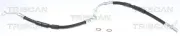Bremsschlauch TRISCAN 8150 50228