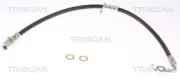 Bremsschlauch Hinterachse links TRISCAN 8150 68263