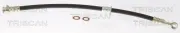 Bremsschlauch TRISCAN 8150 69136