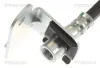 Bremsschlauch Vorderachse rechts TRISCAN 8150 81002 Bild Bremsschlauch Vorderachse rechts TRISCAN 8150 81002