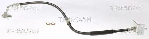 Bremsschlauch TRISCAN 8150 81004