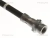 Bremsschlauch Hinterachse rechts TRISCAN 8150 82209 Bild Bremsschlauch Hinterachse rechts TRISCAN 8150 82209