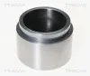 Kolben, Bremssattel TRISCAN 8170 232122