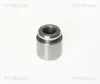 Kolben, Bremssattel TRISCAN 8170 232801