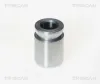 Kolben, Bremssattel TRISCAN 8170 233304