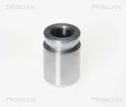 Kolben, Bremssattel TRISCAN 8170 233304