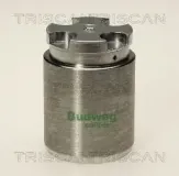 Kolben, Bremssattel TRISCAN 8170 233411