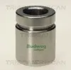 Kolben, Bremssattel TRISCAN 8170 233818