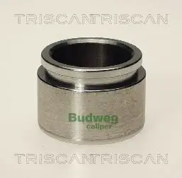 Kolben, Bremssattel TRISCAN 8170 234025