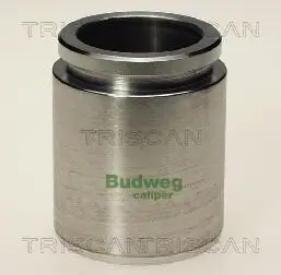 Kolben, Bremssattel TRISCAN 8170 234028