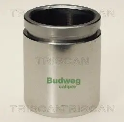 Kolben, Bremssattel TRISCAN 8170 234208