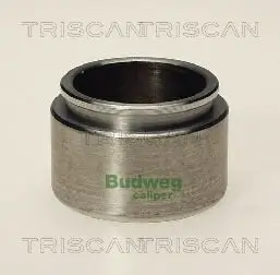 Kolben, Bremssattel TRISCAN 8170 234317