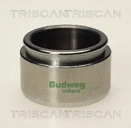 Kolben, Bremssattel TRISCAN 8170 234520