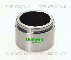 Kolben, Bremssattel TRISCAN 8170 234525