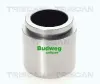 Kolben, Bremssattel TRISCAN 8170 234608