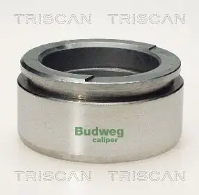 Kolben, Bremssattel TRISCAN 8170 236002