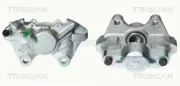 Bremssattel TRISCAN 8170 342503