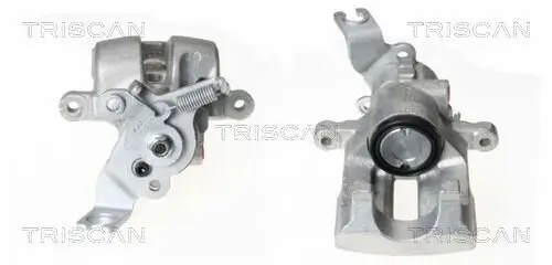 Bremssattel TRISCAN 8170 343116