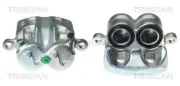 Bremssattel TRISCAN 8170 343128
