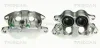 Bremssattel TRISCAN 8170 343198