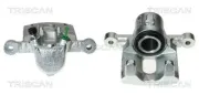 Bremssattel Hinterachse links vor der Achse TRISCAN 8170 343260