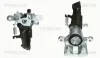 Bremssattel TRISCAN 8170 343316