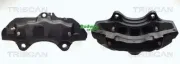 Bremssattel TRISCAN 8170 343330
