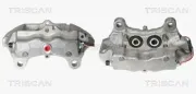 Bremssattel TRISCAN 8170 343334