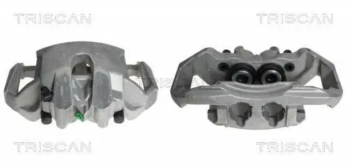 Bremssattel TRISCAN 8170 343401