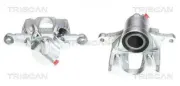 Bremssattel hinter der Achse Hinterachse links TRISCAN 8170 343558