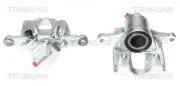 Bremssattel TRISCAN 8170 343559