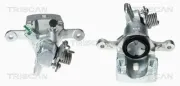 Bremssattel Hinterachse links hinter der Achse TRISCAN 8170 343566