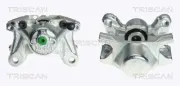 Bremssattel Hinterachse links hinter der Achse TRISCAN 8170 343616