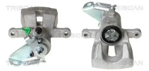 Bremssattel TRISCAN 8170 343939