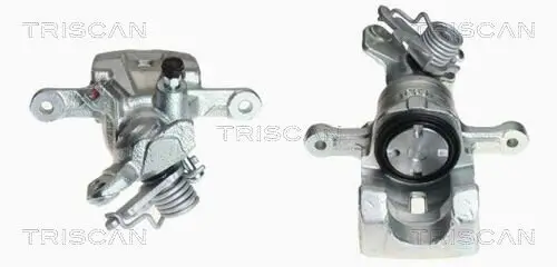 Bremssattel TRISCAN 8170 343957