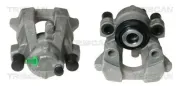 Bremssattel hinter der Achse Hinterachse links TRISCAN 8170 344074