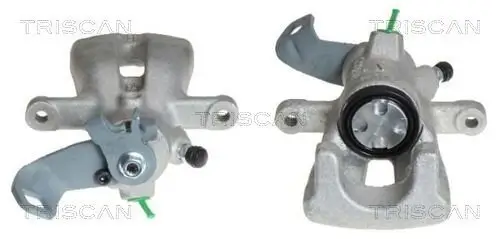 Bremssattel TRISCAN 8170 344084