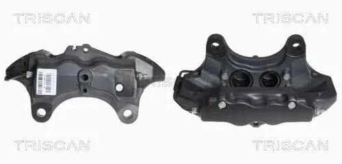 Bremssattel TRISCAN 8170 344313