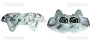 Bremssattel TRISCAN 8170 344553