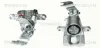 Bremssattel TRISCAN 8170 344620
