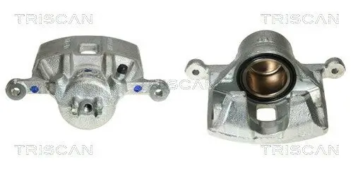 Bremssattel TRISCAN 8170 344879
