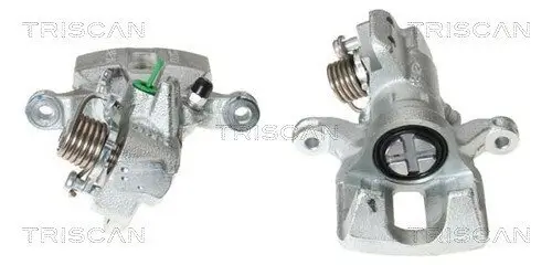 Bremssattel TRISCAN 8170 344884