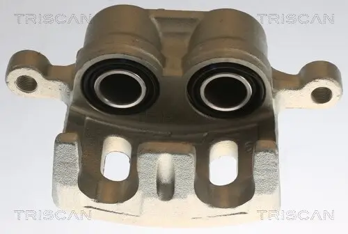 Bremssattel TRISCAN 8175 10101