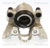 Bremssattel TRISCAN 8175 10131