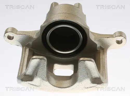 Bremssattel TRISCAN 8175 10135