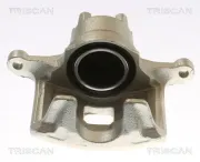 Bremssattel TRISCAN 8175 10136